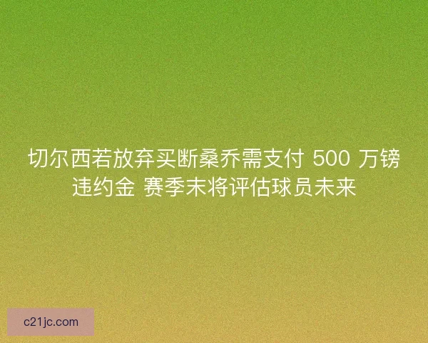 切尔西若放弃买断桑乔需支付 500 万镑违约金 赛季末将评估球员未来
