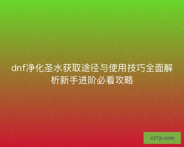 dnf净化圣水获取途径与使用技巧全面解析新手进阶必看攻略