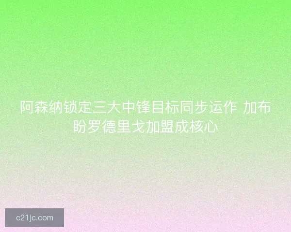 阿森纳锁定三大中锋目标同步运作 加布盼罗德里戈加盟成核心