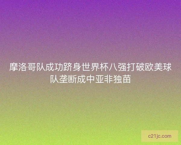 摩洛哥队成功跻身世界杯八强打破欧美球队垄断成中亚非独苗