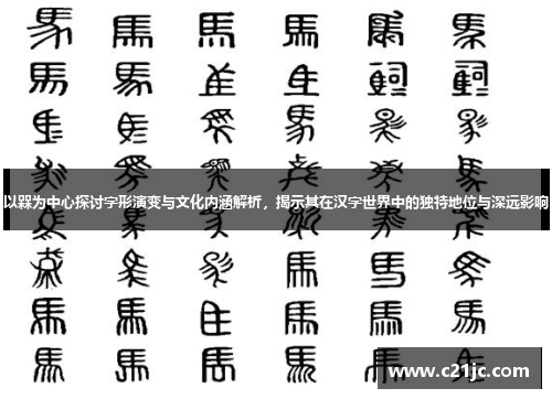 以槑为中心探讨字形演变与文化内涵解析,揭示其在汉字世界中的独特地位与深远影响