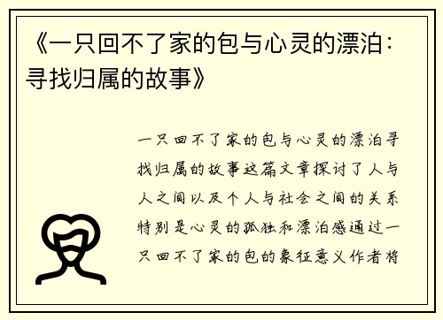 《一只回不了家的包与心灵的漂泊:寻找归属的故事》